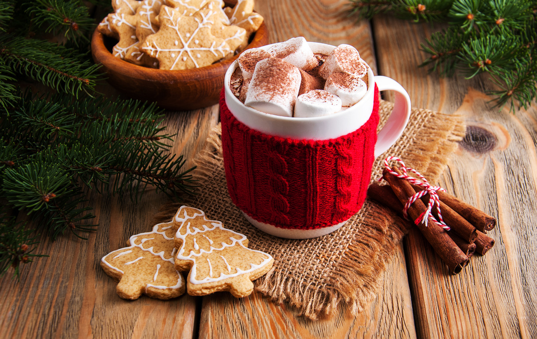 Cup of Christmas Cocoa